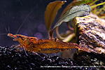 IMG 8745