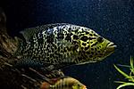 20140217 IMG 4108