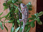 DSC05527
