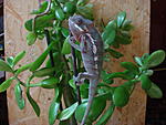 DSC05529