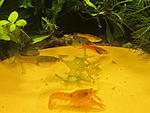 IMG 5198