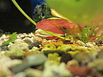IMG 5183