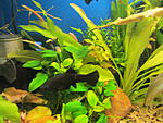 IMG 5172