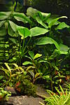 DSC 0168