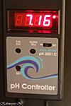  pH