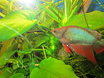 IMG 5175