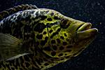 20140217 IMG 4104