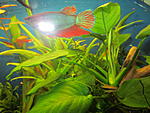 IMG 5176