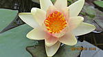 IMG 5067