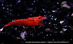 IMG 8578