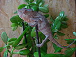 DSC05518