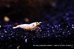 IMG 8683