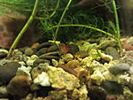 IMG 5184
