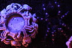 IMG 0281