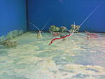 IMG 20140623 154250