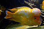 20140616 IMG 4704