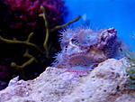 IMG 20140619 140523