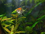 DSC 5635 111