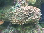 IMG 20140623 155757