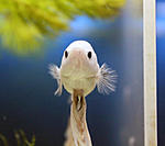 IMG 0511