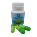 Ptero Flora Terra