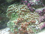 IMG 20140623 155843