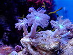 IMG 20140619 141651