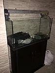 140650435 1 1000x700 akvarium juwel 96l filtr lampa kiev rev003