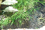DSC 0228