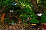 DSC 5643 111