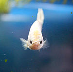 IMG 0067