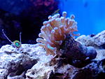 IMG 20140628 094951