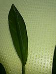 20140624 115352