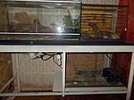 DSCN0339