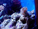 IMG 20140628 095023