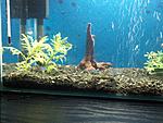 IMG 20131231 004752
