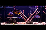 IMG 9164