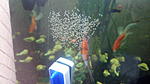 IMG 20140519 183516