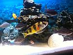 IMG 5739