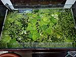 IMG 20140710 120111