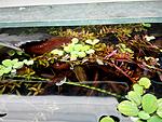 IMG 20140627 115858