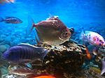 IMG 5718