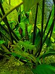 IMG 20140712 192246