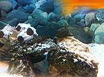 IMG 5784