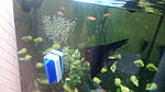 IMG 20140519 183521