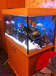 IMG 5765