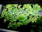 IMG 20140712 191932