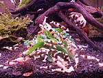 DSCN9775