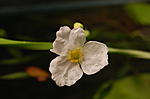 DSC 0007