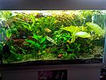 IMG 20140627 115912